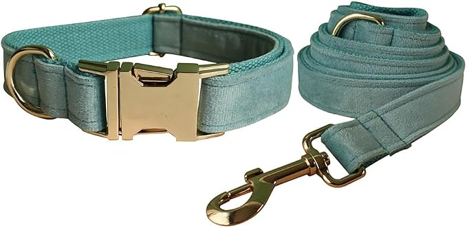 Love Dream Velvet Dog Collar and Leash Set, Soft & Comfy Adjustable Dog Leash and Collar with Heavy Duty Metal Buckle for Small Medium Large Dogs Training & Walking (Medium, Light Green)