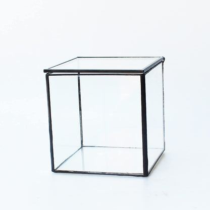 Small Square Glass Terrarium with Lid,Geometric Clear Box for Indoor Plants,Black Little Handmade Planter Pot for Succulents,Moss and Air Plant Fern,Home Garden Decor,4.3 x 4.3 x 4.7inch