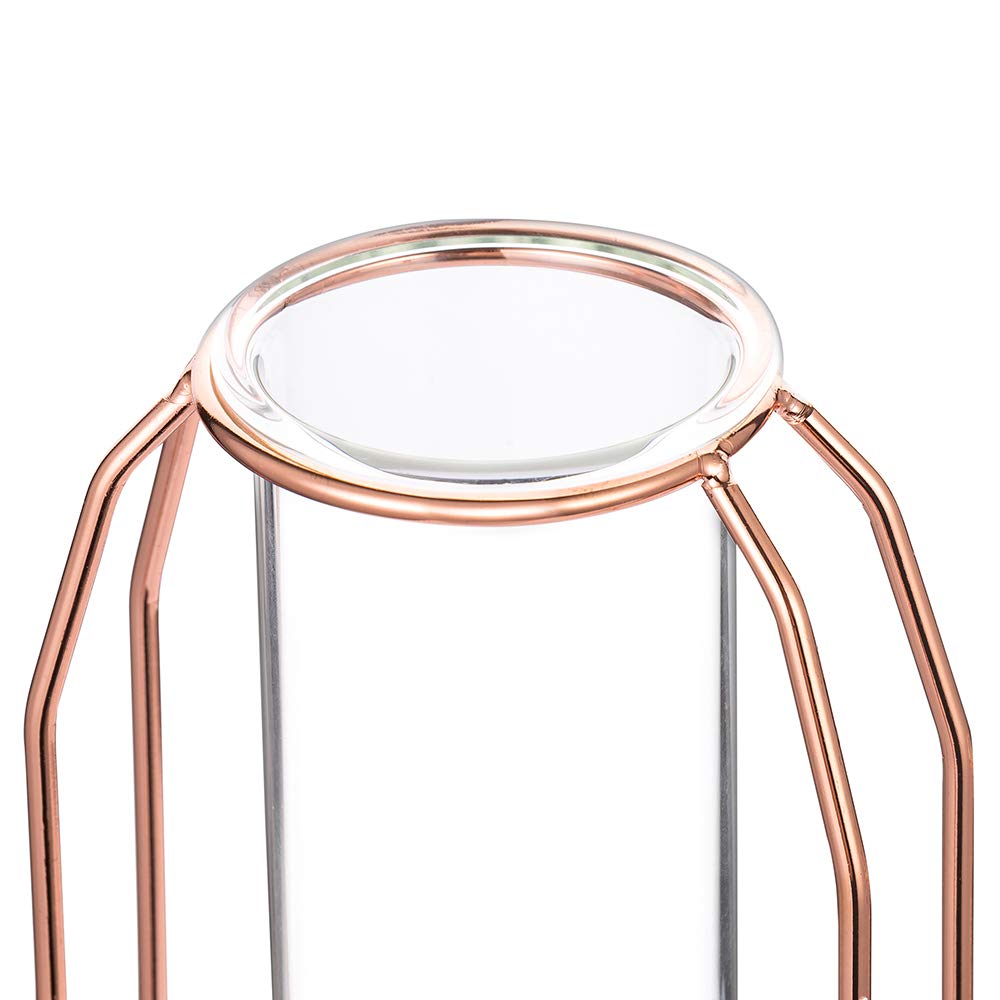Vases Set of 2 Glass Vases with Metal Frame, Modern Rose Gold Frame Cylinder Clear Vase Planter Terrariums, Flower Holder Decorations for Wedding Living Room, Office, Party (Rose Gold, S+L)