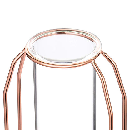 Vases Set of 2 Glass Vases with Metal Frame, Modern Rose Gold Frame Cylinder Clear Vase Planter Terrariums, Flower Holder Decorations for Wedding Living Room, Office, Party (Rose Gold, S+L)