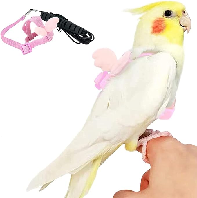 Birds Adjustable Harness and Leash, Parrot Outdoor Flying Training Traction Rope Straps with Cute Wing for Small Animal, Parrots, Pigeons, Bird Flight Vest, Pet Training Leash(Pink,S)