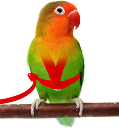 Pet Parrot Bird Harness Leash Adjustable Bird Flying Harness Traction Rope with Cute Wing for Parrots Pigeons Budgerigar Lovebird Cockatiel Mynah Outdoor Training Toy (Red,XS)