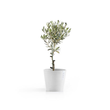 Ecopots Amsterdam Durable Modern Round Indoor/Outdoor Recycled-Based Composite Flower Pot Planter, Pure White, 8"