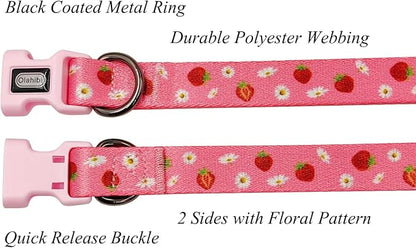 Dog Collar Leash Set, Floral Pattern, Polyester Material, Adjustable Collar and 5ft Matchcing Leash, for Large Dogs.(L, Daisy and Strawberry)