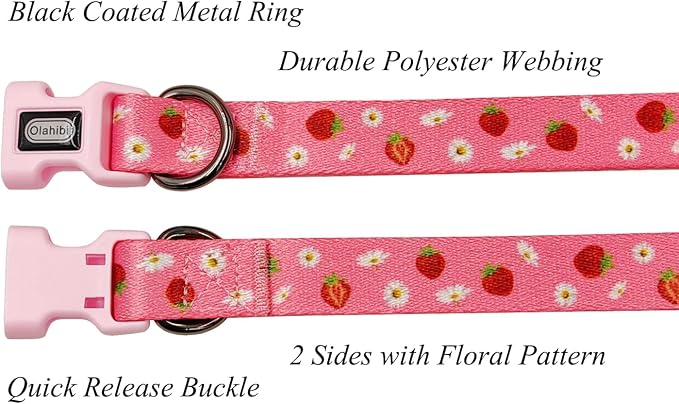 Dog Collar Leash Set, Floral Pattern, Polyester Material, Adjustable Collar and 5ft Matchcing Leash, for Small Dogs.(S, Daisy and Strawberry)