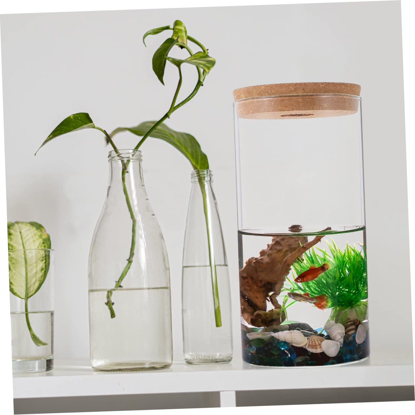 YARNOW High Borosilicate Glass Terrarium Air Plant Holder DIY Micro Landscape Bottle Home Decor Moss Plant Container