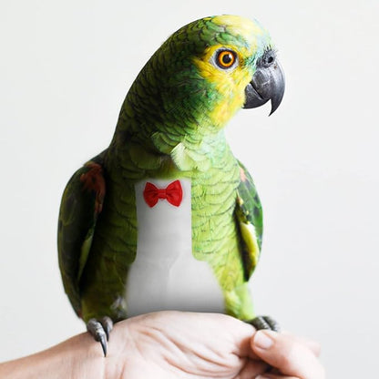 Generic Bird Diaper for Parrots Breathable Costume for Cockatiels Pigeons and Parakeets Washable Reusable Nappy Clothes for Birds