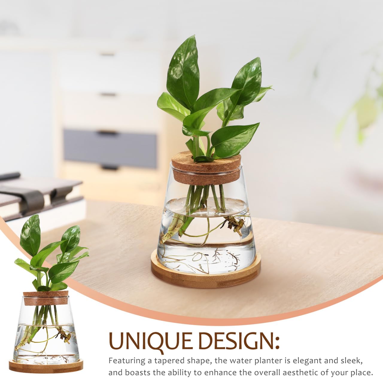 2pcs Glass Plant Propagation Station with Wooden Base Hydroponic Plants Vase for Indoor Decor Glass Terrarium Vase Jars Home Kitchen Decorations and Gifts for Planter Lovers