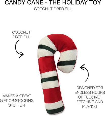 Pet Passion Multipack Stuffed Dog Toys Durable Cotton Canvas with Coconut Fill for All Pet Breeds, Candy Cane, One Size (Pack of 2)
