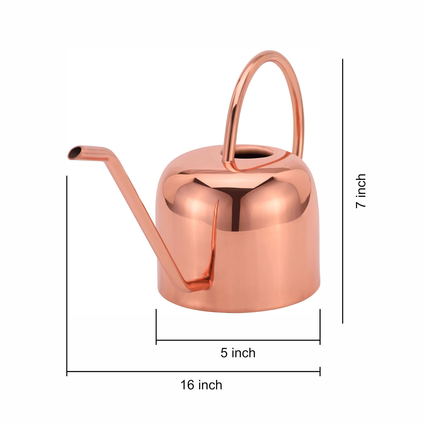 Glytterati - Indoor Watering Can and Planter with Plate.