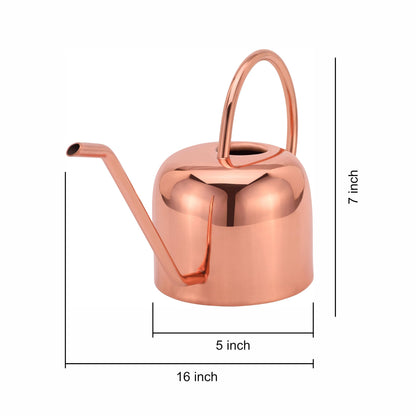 Glytterati - Indoor Watering Can and Planter with Plate.