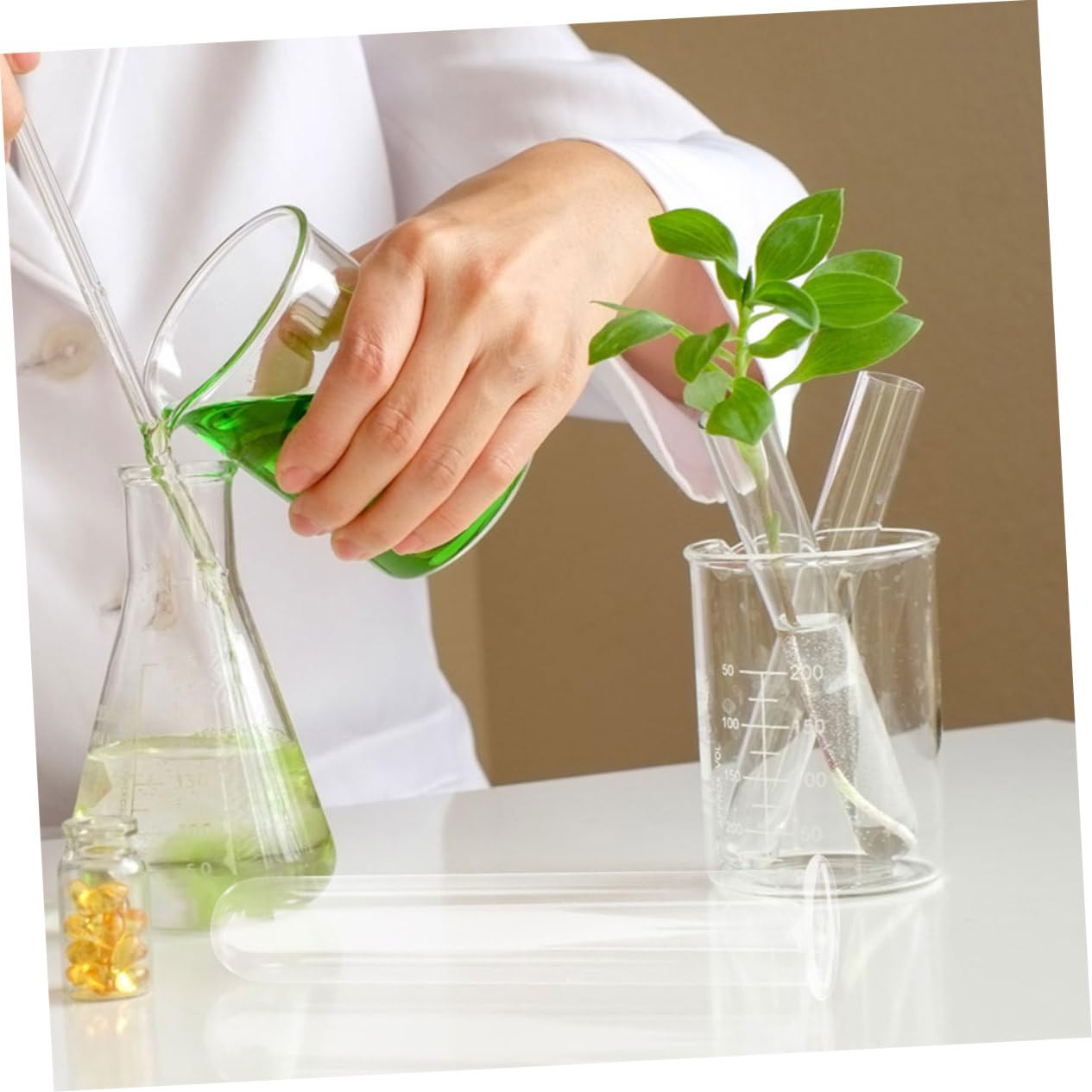 Ciieeo 6pcs Glass Test Tube Vase for Air Plant Terrarium Propagation Jars for Plants Glass Tube Vase Elegant Design for Home Office