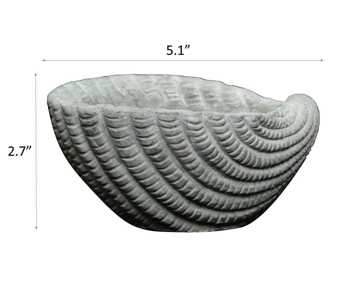 Classic Home and Garden Cement Seashell Planter, Cute Desk Decoration or Gift – Shell Planter w Drain Plug – Succulent Plant Pot for Indoor/Outdoor Beach Décor