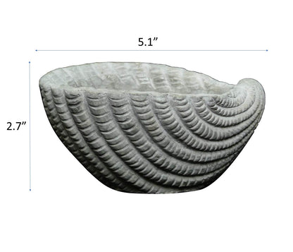 Classic Home and Garden Cement Seashell Planter, Cute Desk Decoration or Gift – Shell Planter w Drain Plug – Succulent Plant Pot for Indoor/Outdoor Beach Décor