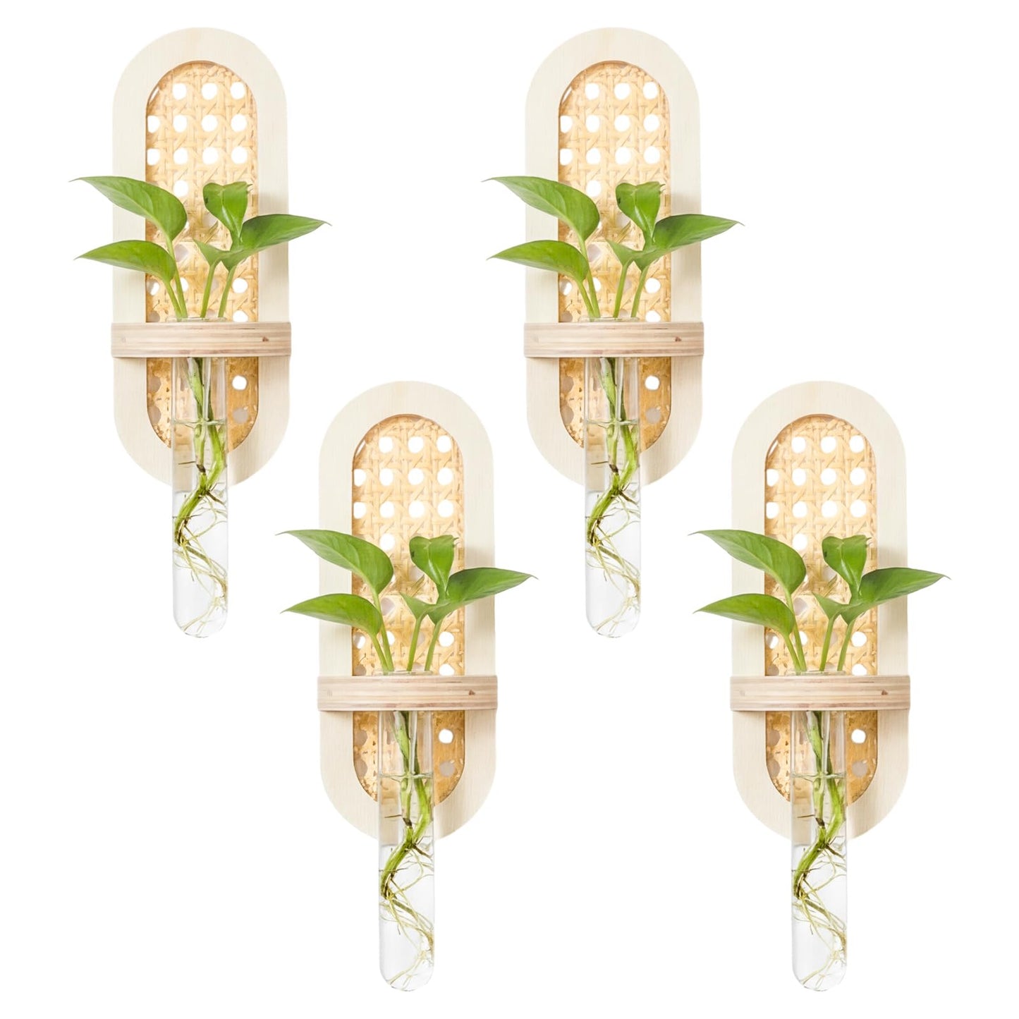 Singhoow 4 Pcs Wooden Rattan Wall Propagation Vases 8 Inch Wood Wall Vase Set Natural Boho Hanging Plant Flower Display for Hydroponics Plants Home Office Living Room Decor