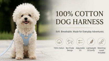 AetruffyPet 100% Cotton Dog Harness and Leash Set – Soft Breathable Vest for Small Dogs, Adjustable No-Choke Design, Lightweight Walking Set (XS/S/M) (Blue, M)