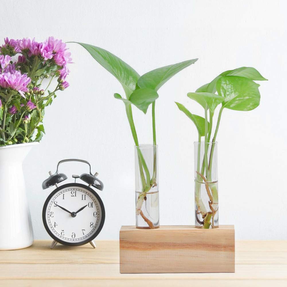 Zerodis Vases Pot Elegant Hydroponic Plant Vase Terrarium Container Home Decor with Wooden Rack for Succulents Miniature Shrubs Ferns Glass Test Tube Flower