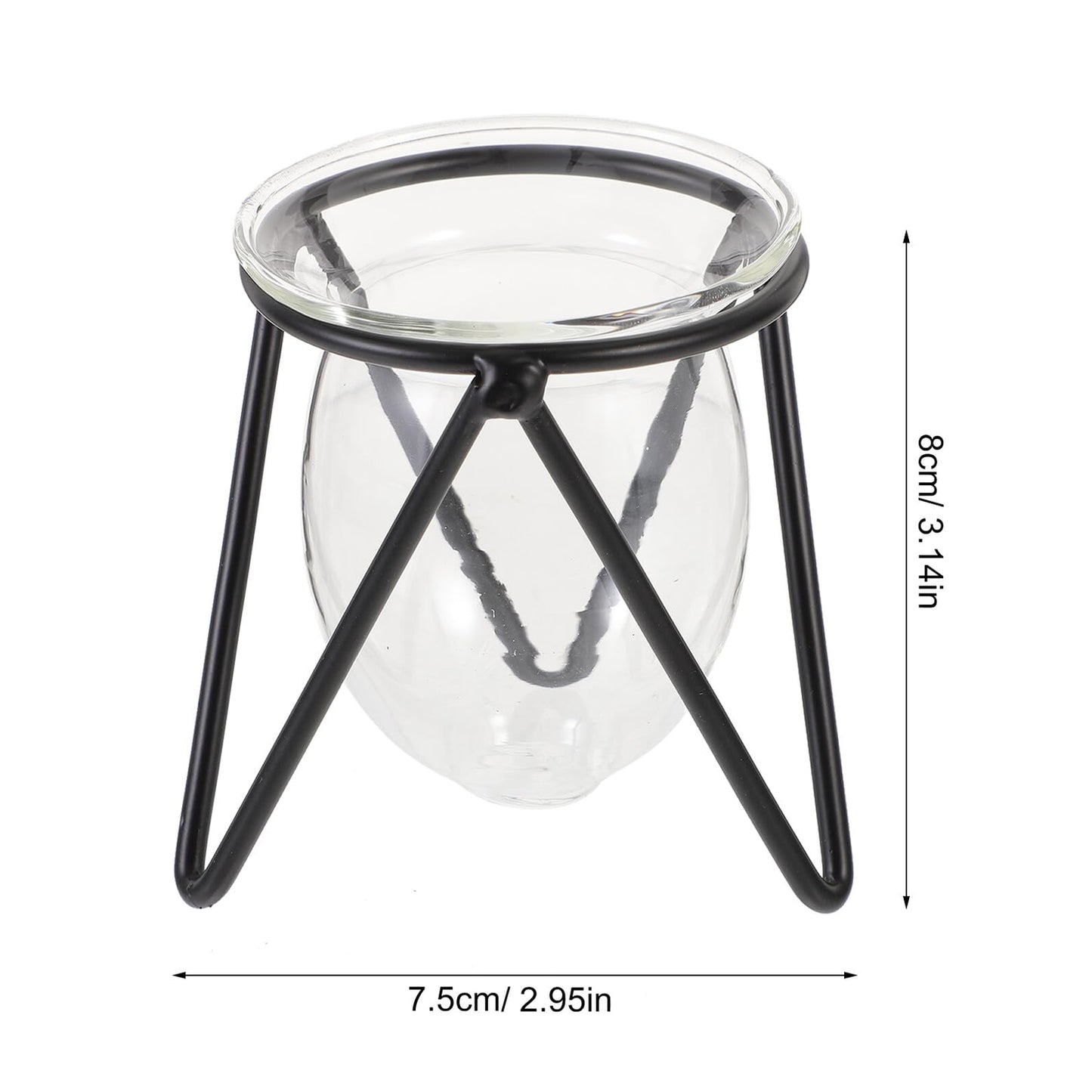 Ipetboom 6pcs Black Iron Art Hydroponic Glass Vases Small Terrarium Plant Holders for Home Decoration Desktop Water Containers