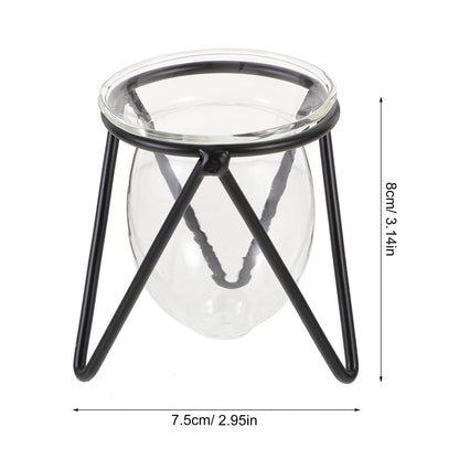 Ipetboom 6pcs Black Iron Art Hydroponic Glass Vases Small Terrarium Plant Holders for Home Decoration Desktop Water Containers
