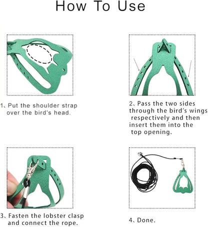 Adjustable Bird Harness & Leash Set for Small Birds,FitsBudgie,Parakeets, Conures, Cockatiels,Green Cheek,Quaker Parrots(Green, XS) Z6350-6