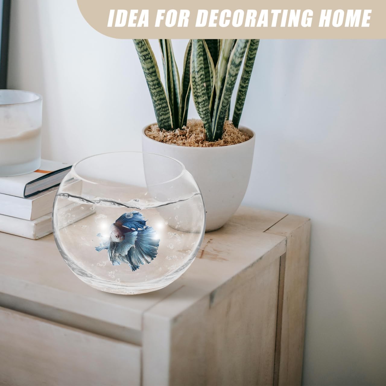 Baluue Round Glass Fish Bowl 5.90 Inch Clear Bubble Vase Terrarium Planter for Hydroponic Plants Flower Display Home Office Decor Compact Design