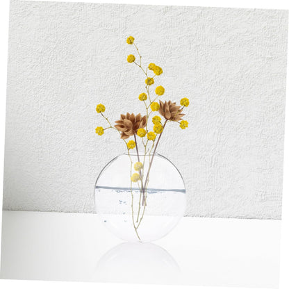 Uonlytech 6pcs Wall Hanging Glass Terrarium Planter Transparent Hydroponic Vase for Indoor Plants Space-Saving Decorative Flower Jars for Home Office Bathroom