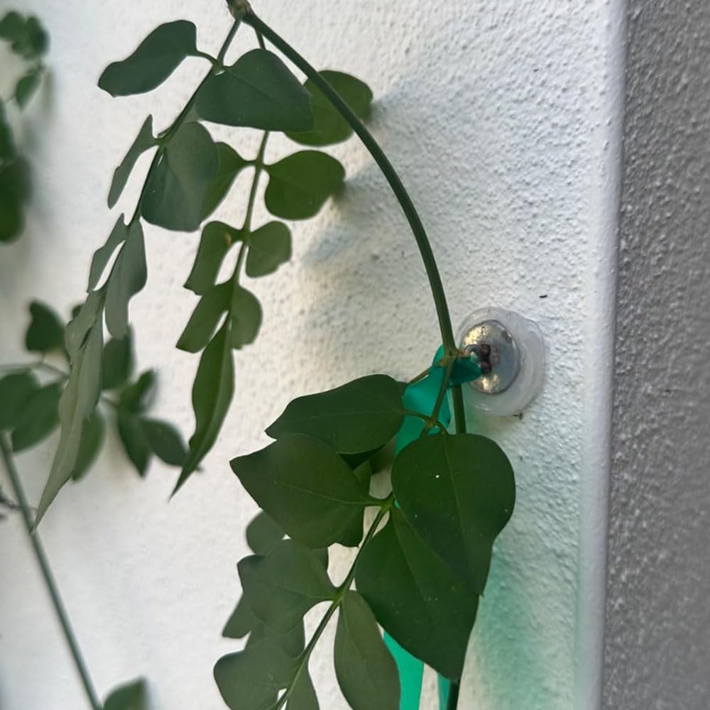 XGNG 1 Pack (100 pcs) Metal Plant Anchors for Grid Vines and Wall Climbers Climbing Plant Tools Vine Design Anchors Plant Hooks Wall Grid Shelf Anchors