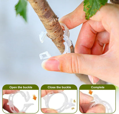 Mqacpu Secured Plastic Plant Clip, Plant Clips for Climbing Plants Clear for Tomato Grape, Plant Fixing Clips,Garden Clips for Climbing Plants,Grape and Vine Vegetables (100, Green)