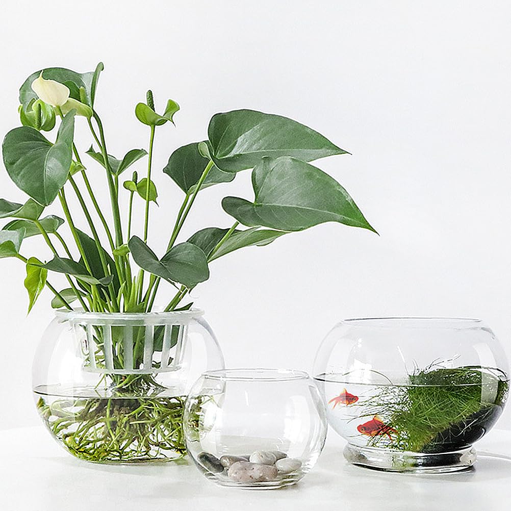 Luxshiny 2Pcs Clear Glass Vase Container 4 Inch Round Hydroponic Plant Holder Decorative Desktop Flower Pot for Home Office Hotel