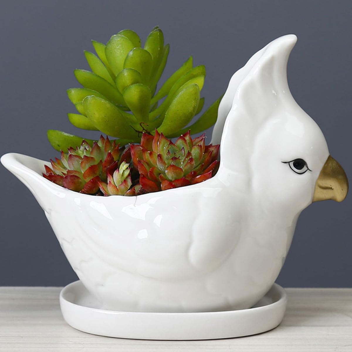VILLCASE Ceramic Succulent Planter with Saucer Cartoon Bird Flower Pot Desktop Bonsai Pot for Indoor Balcony Gardening Decor