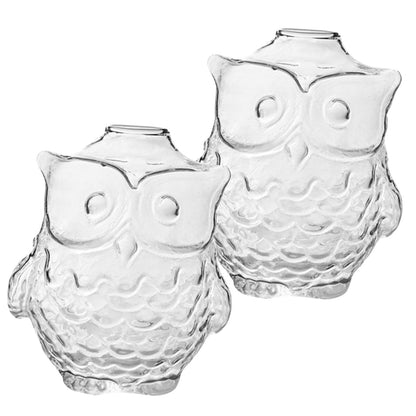 STOBAZA 2pcs Owl Shaped Glass Vase Hydroponic Flower Arrangement Holder 9x7.5x8.5cm Desktop Decorative Plant Terrarium for Home Office