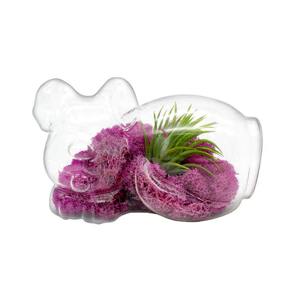 5.75" Puppy Dog Shaped Glass Terrarium Kit with Live Tillandsia Air Plant and Bright Colored Reindeer Moss (Pink)