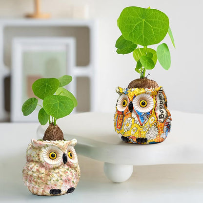 Pink Owl Planter, Cute Owl Statue Decor, Succulent Plant Pots, Decorative Flower Pot, Animal Bird Planters, Indoor Plant Pot for Home Garden Windowsill, Funny Gifts for Smart Women Mother Teacher