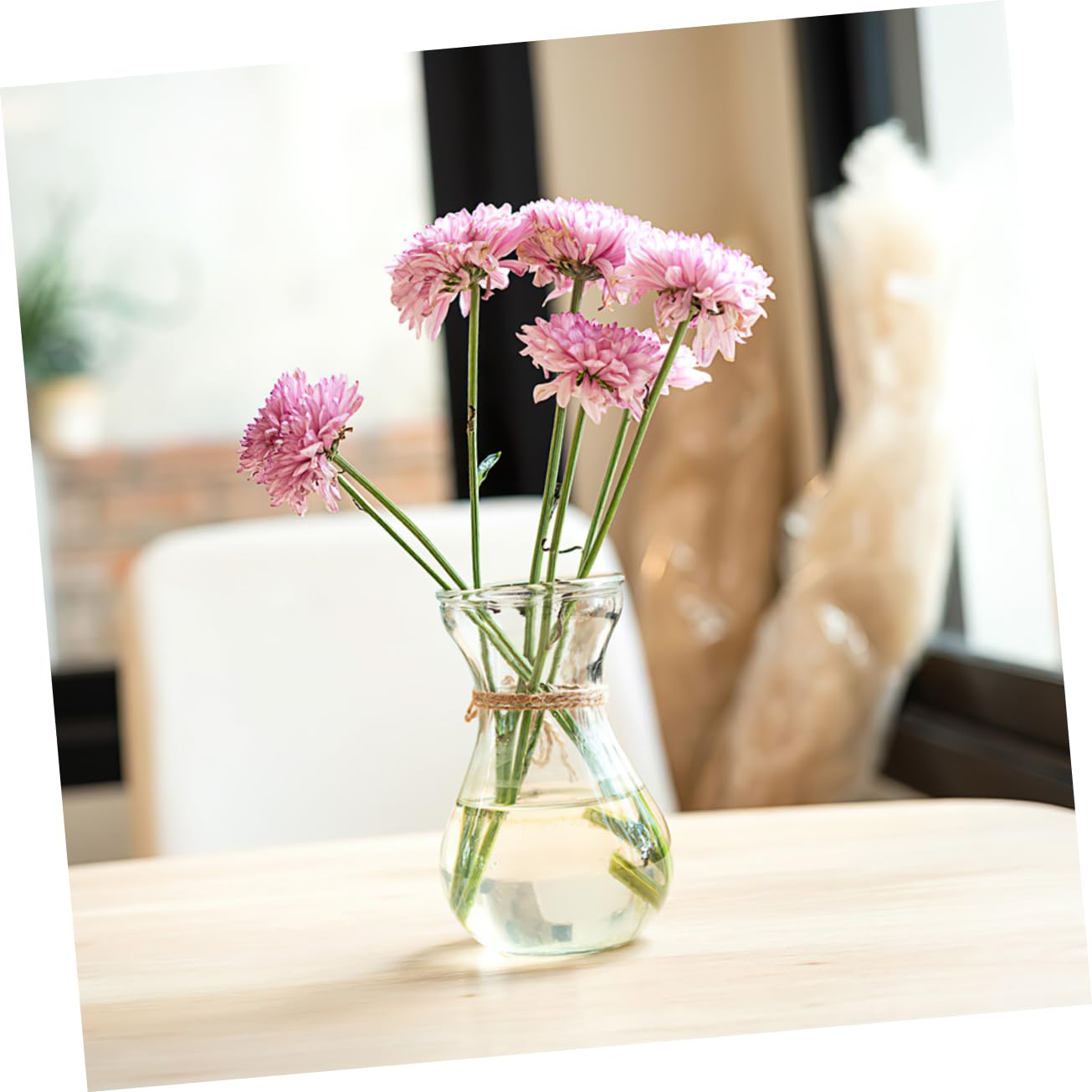 Hemobllo 5Pcs Desktop Glass Planter Decorative Vases for Home Office Unique Terrarium Design for Flower Arrangement Plant Display for Tabletop Shelf Decor
