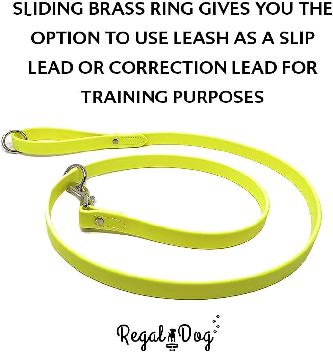 Regal Dog Products Medium Yellow Waterproof Dog Collar and Leash Set | Heavy Duty Double Buckle & D Ring - 5'ft Leash | Adjustable Biothane Dog Collar | Chew Resistant Waterproof Collar for Dogs