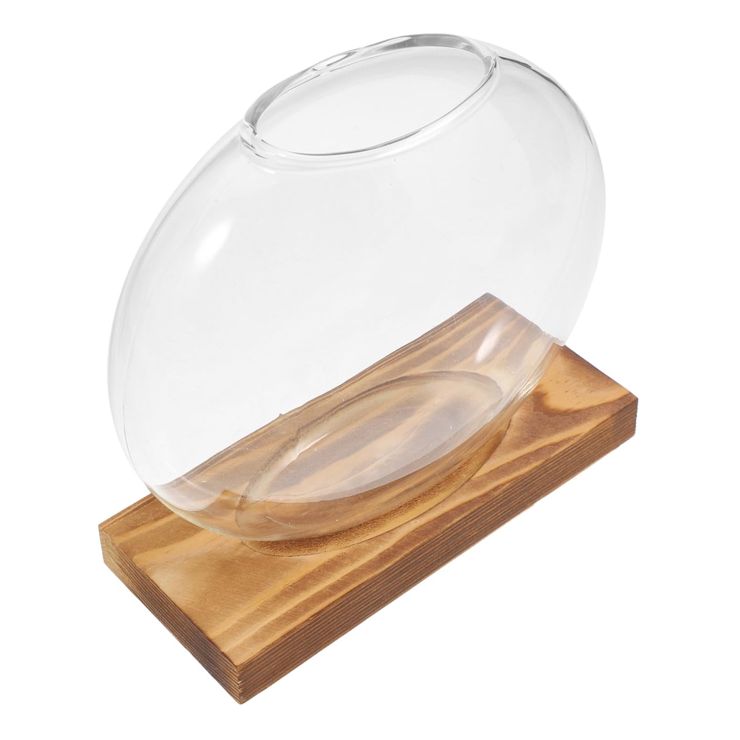 ANDRESLAD Hydroponic Vase with Wooden Base Transparent Glass Plant Propagation Station for Indoor Plants Terrarium Small Desktop Planter Root Observation Decorative Home Decor