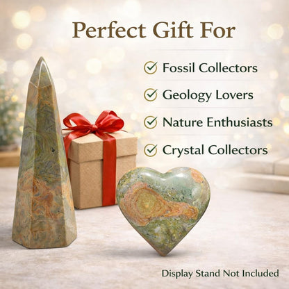 Crystal Healing Nature Stromatolite Fossil Gemstone, 1.8 Billion Year Old Natural Algae Ancient Stone, Obelisk Tower-Shaped Crystal, Natural Crystal Gifts for Altar Decor and Spiritual Protection.