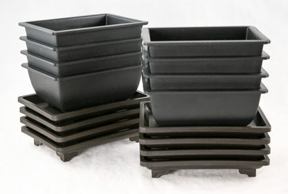 8 Sets Rectangular Plastic Shohin Bonsai Training Pot, Cactus & Succulent Planter + Tray 5 inches x 3.5 inches x 2 inches , Black