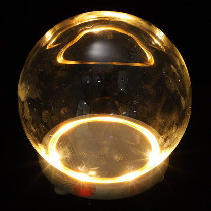 EXCEART Glass Dome with Wooden Base 4 Inch Clear Display Cover Ornament for Home Decor Featuring Led Lighted Preserved Flower Container Micro Landscape Display