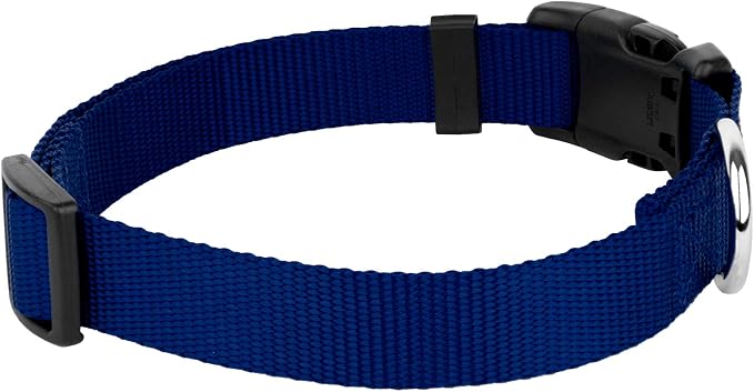 Country Brook Petz - Everyday Nylon Dog Collar and Leash - 10+ Cool Colors (3/8 Inch, 3XS, Royal Blue)