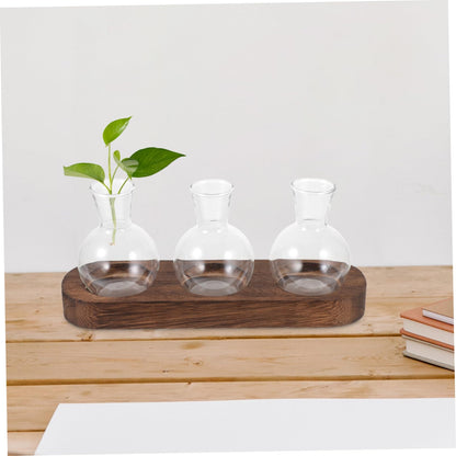 IWOWHERO Elegant Green Pothos Plant Container Glass Vase with Simple Design for Home Office Decor