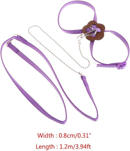 Adjustable Bird Harness Leash Parrot Flying Rope Straps Outdoor Training Traction Rope For Small Parrots Multi Colors Parrot Toys African Grey For Small Parrots For Large Birds Conure Macaw Parrot Set