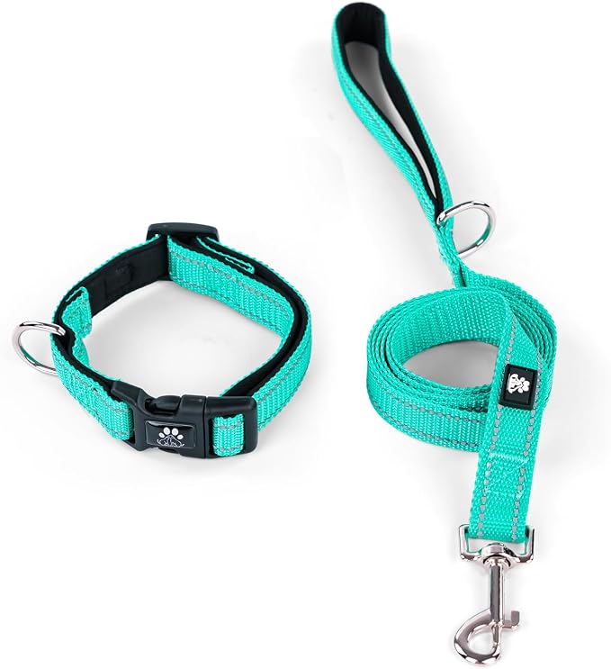 IVY&LANE Reflective Dog Collar and Leash Set,Adjustable Neoprene Padded Dog Collars for Puppy, Breathable Nylon Pet Collar for Small Medium Large Dogs(Small,Teal)