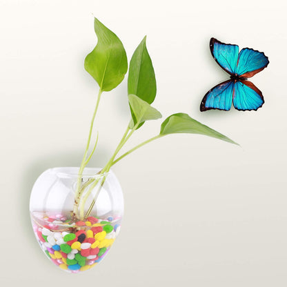 Jwthee 2Pcs Wall Planter, Glass Terrarium Hanging Plant Holder Wall Hanging Glass Terrariums Planter Wall Hanging Glass Propagation Plant Terrarium Container for Propagating Hydroponic Plants(F)