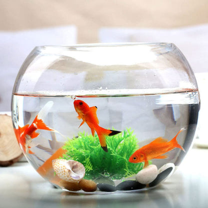 Yardwe Round Fish Bowl 5.90X5.90X4.52 Inch Clear Glass Fishbowl for Small Fish Plants Terrarium Vase Home Office Decor