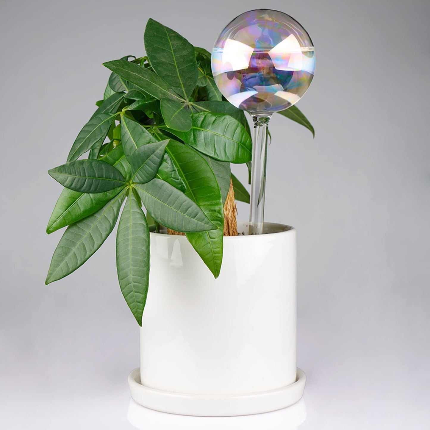 Tomorotec [3PCS] Light Iridescent Rainbow Gradient Color Clear Glass Self-Watering System Spikes, Automatic Plant Waterer Bulbs