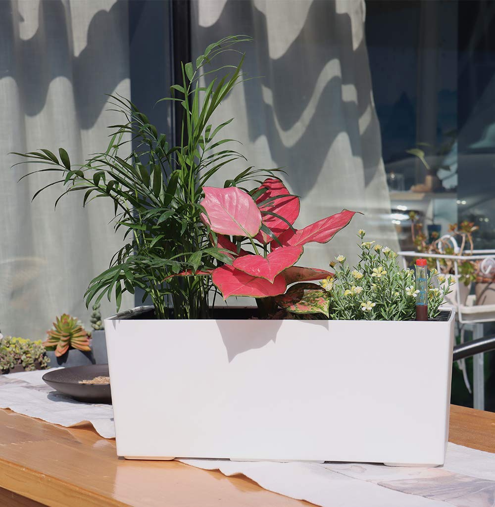 SAROSORA 14" Self Watering Planter Pots with Water Level Indicator, Rectangle Matte Plastic Window Box for Indoor Outdoor, Herbs Succulents Flowers House Plants (White)