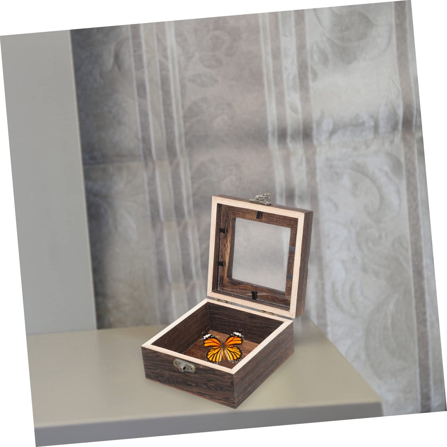 Box Box Glass Jewelry Display Case Clear Display Box Glass Terrariums for Plants Collection Box Shadow Box Frame Jewelry Containers Shadowbox Frame Collection Box