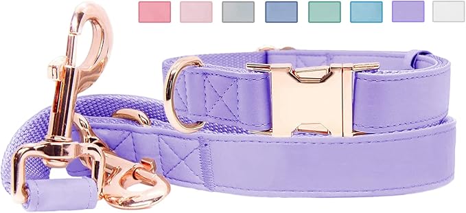 Soft Leather Dog Collar and Leash (6.6') Set - Stylish Rose Gold Heavy Duty Metal Buckle, 4 Adjustable Lengths Leash for Small Medium Large Dogs - Comfortable & Easy to Clean (XS, Light Purple)