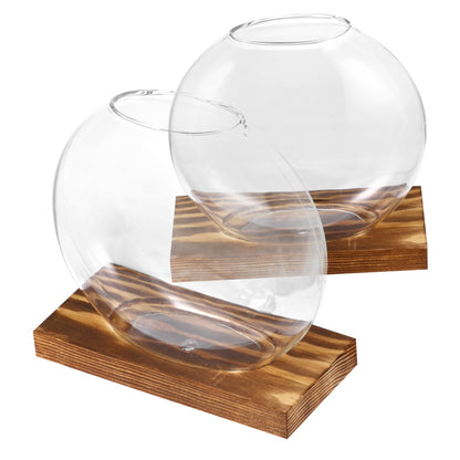 UPKOCH 2Sets Clear Glass Vases with Natural Eucalyptus Base Small Plant Terrarium for Home Decor Hydroponic Display Artistic Design for Indoor Plants and Decorative